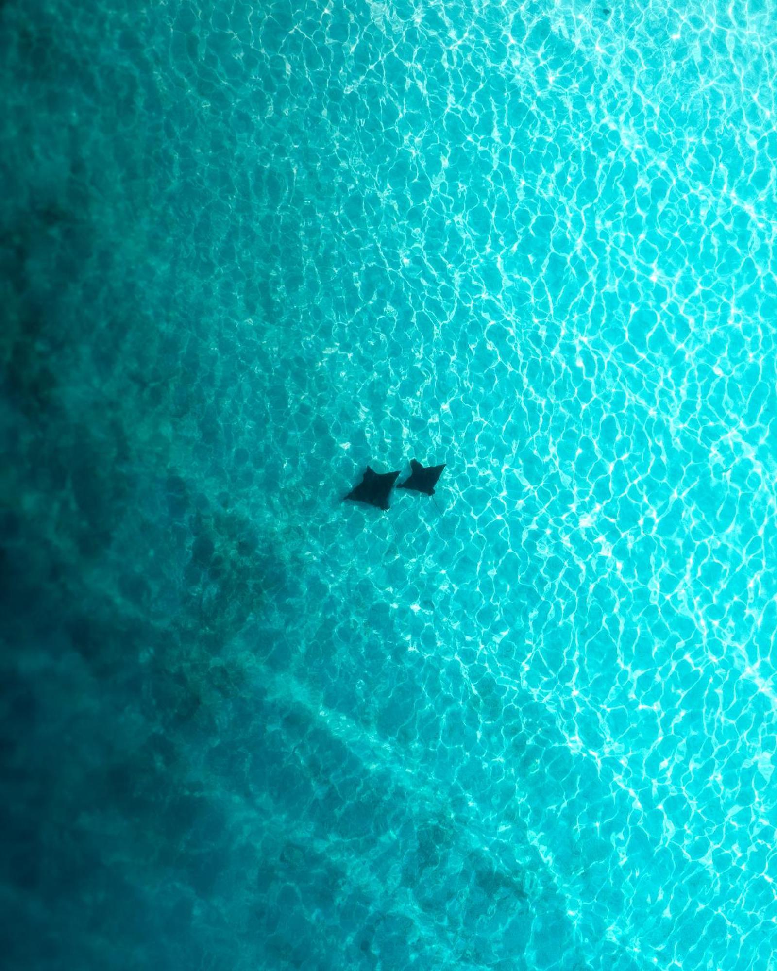 Ocean Pearl Maldives At Gulhi Island Hotel ภายนอก รูปภาพ